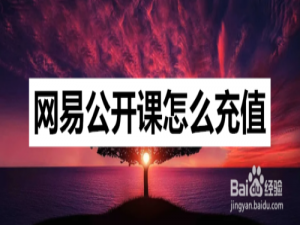 经验分享网易公开课在哪充钱。