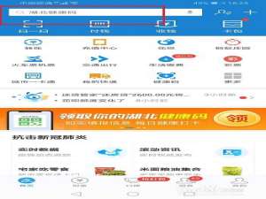 经验分享洛阳健康码如何领取。