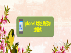 经验分享iphone11勿扰模式在哪关。