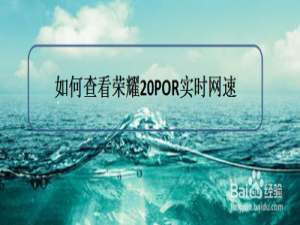 经验分享荣耀20POR实时网速在哪看。