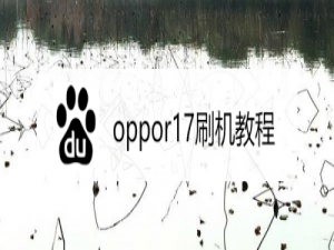 经验分享oppor17怎么刷机。