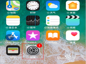 经验分享苹果手机虚拟home键在哪关。