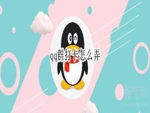 经验分享qq群怎么打卡。