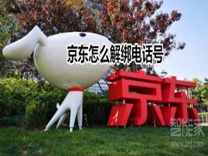 经验分享京东手机号码如何解绑。