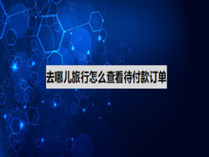 经验分享去哪儿旅行在哪查询待付款订单。