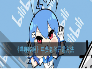 经验分享哔哩哔哩年费老爷是什么。
