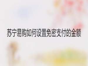 经验分享苏宁易购怎么修改免密支付金额。