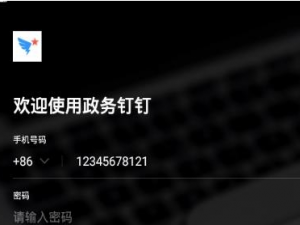 经验分享政务钉钉和钉钉有什么不同。