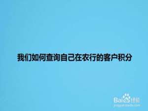 经验分享农行客户积分查询方法介绍。