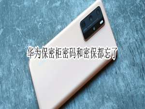 经验分享华为手机重置保密柜密码和密保方法我来说说。