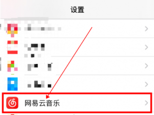 经验分享网易云音乐一起听歌隐藏位置信息方法我来说说。