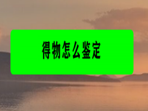 经验分享得物怎么鉴定物品真假。