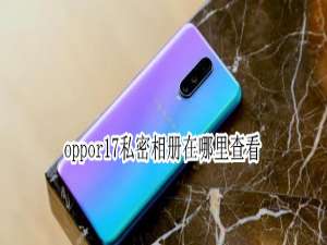 经验分享oppor17私密图片在哪查看。