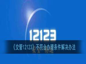 经验分享交管12123不符合办理条件怎么办。