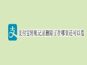 经验分享支付宝误删转账记录怎么找回。