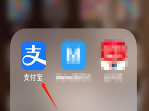 经验分享支付宝在哪领取家庭积分。
