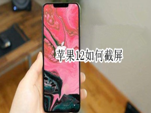 经验分享iPhone12怎么进行截屏。