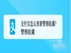 经验分享支付宝中收藏的内容在哪查看。