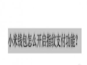 经验分享小米钱包指纹支付怎么打开。