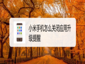 经验分享小米手机应用升级通知怎么关闭。