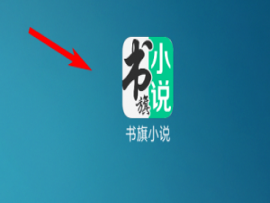 经验分享书旗小说极简模式怎么开启。