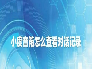 经验分享小度音箱app在哪查对话记录。
