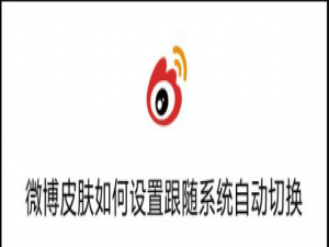 经验分享微博怎么设置皮肤跟随系统自动更换。