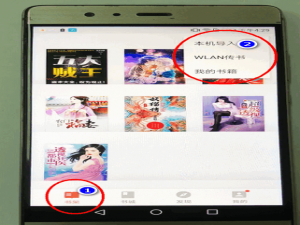 经验分享掌阅导入本地书籍怎么做。