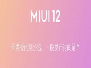 开发版内测公告一般发布时间是几点。