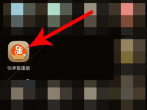 快手极速版如何填入别人的邀请码。