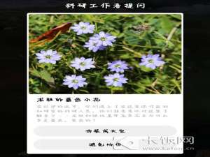 龙胆和绿绒嵩为什么多是蓝色紫色。