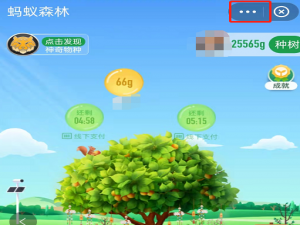 蚂蚁森林低帧率模式在哪设置。