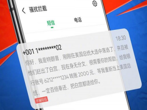 魅族18系列旗舰手机拥有（）功能，你很少会收到使用过的APP或购买过的店铺发来的推广短信。