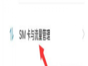 oppok9s如何打开5G。