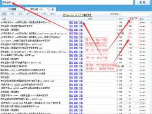 P2PSearcher+迅雷，瞬间搞定资源搜索下载