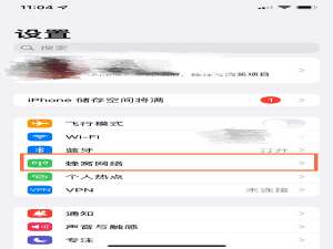 苹果13可以设置显示流量速度吗。