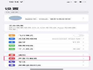 苹果手机相机拍照声音如何关闭 苹果手机相机拍照声音怎么开