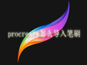 procreate怎么导入笔刷。