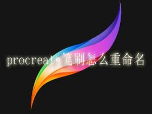 procreate笔刷怎么重命名。