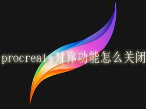 procreate对称功能怎么关闭。