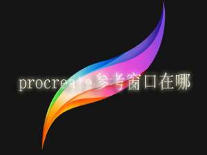 procreate参考窗口在哪。