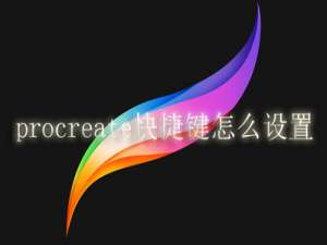 procreate快捷键怎么设置。