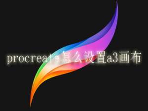 procreate怎么设置a3画布。
