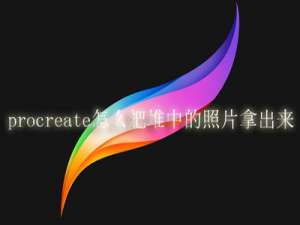 procreate怎么把堆中的照片拿出来。