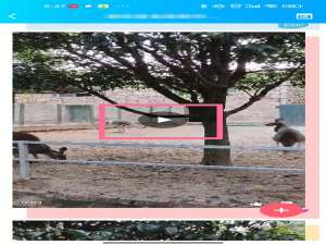 QQ空间相册视频怎么保存到手机。