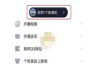 QQ匿问我答在什么地方看回复。