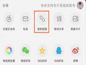 QQ音乐如何导入网易云歌曲。