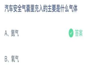 汽车安全气囊里充入的主要是什么气体。