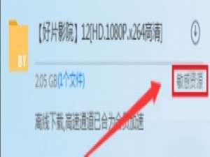 如何解决迅雷中敏感资源无法下载的问题。