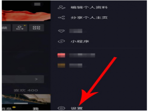 如何启用抖音视频置顶服务